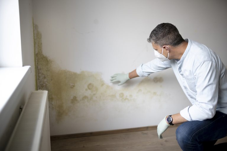 rising damp Cheshire